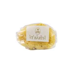 NATURAL SPONGE 9 CM